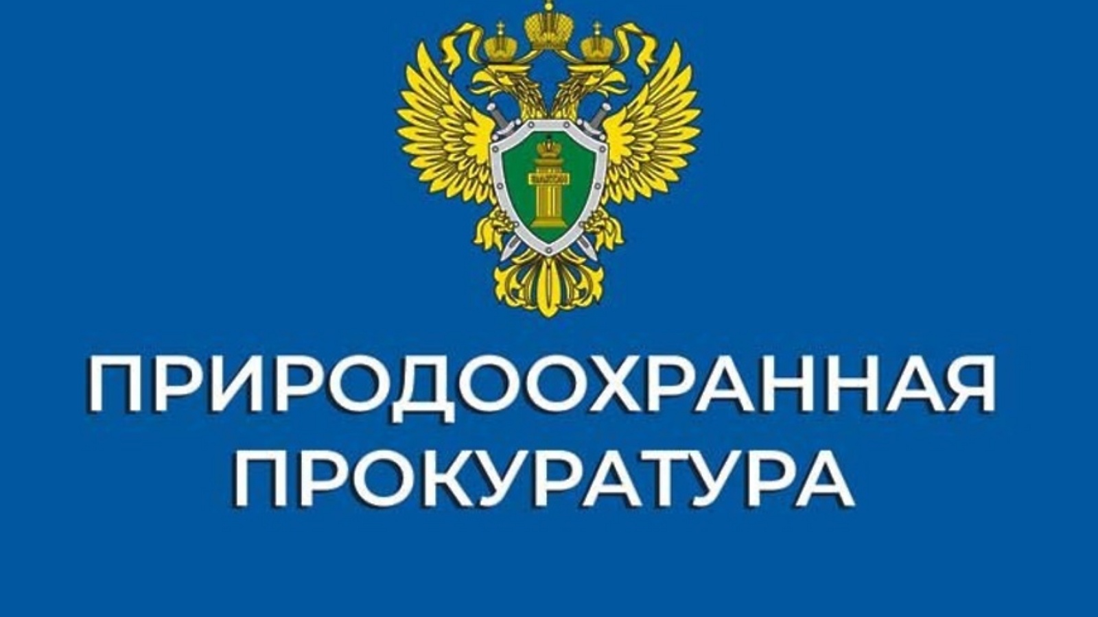 Природоохранный прокурор разъясняет.